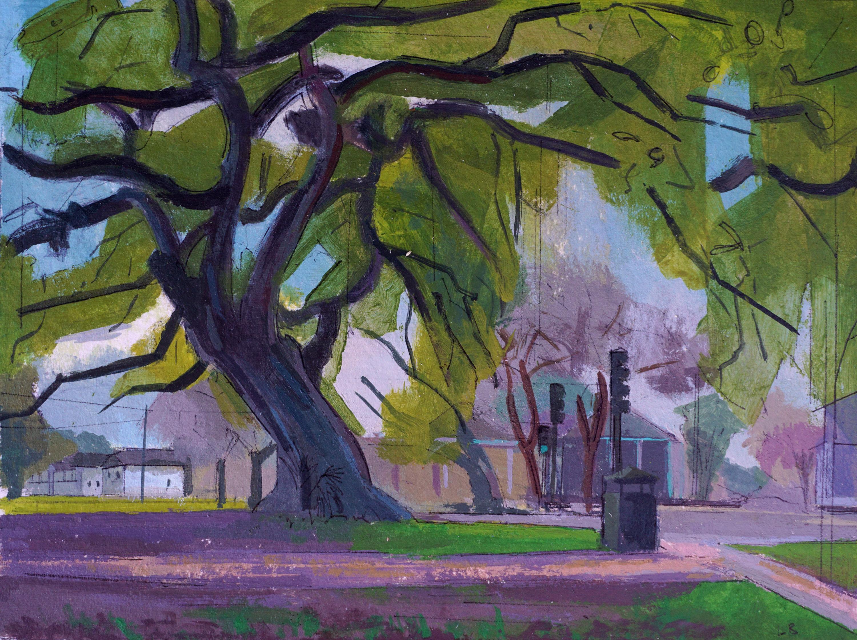 City Park Sidewalk and Arching Trees