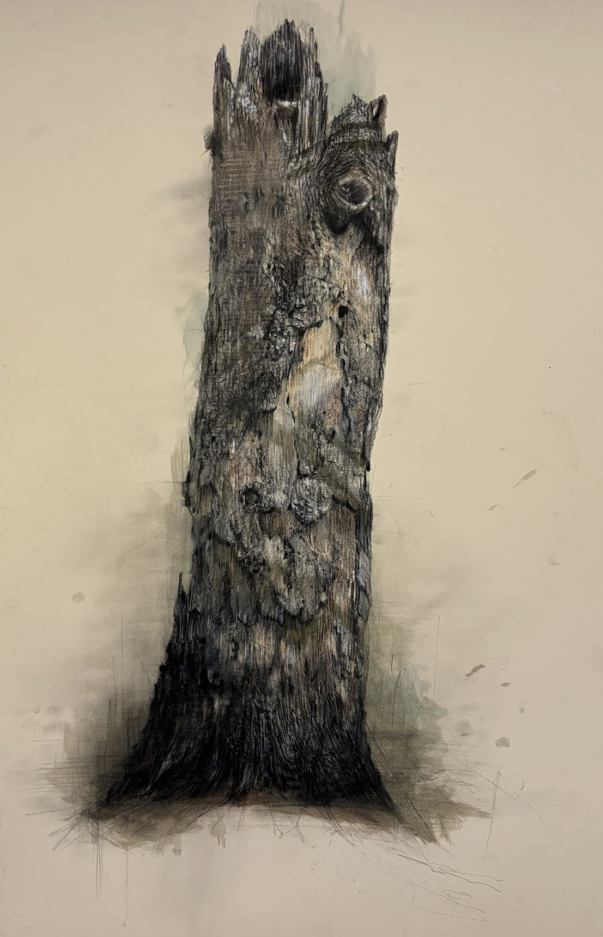 Tree Study