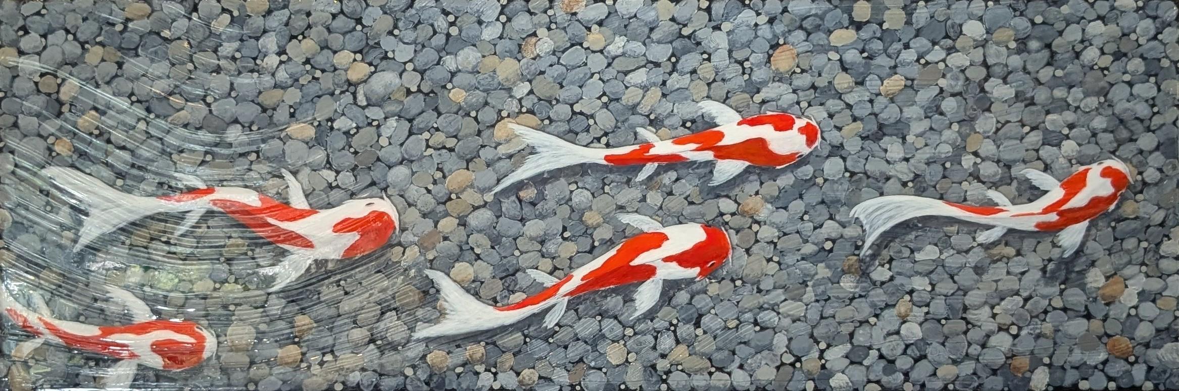 Koi Heading Up Stream